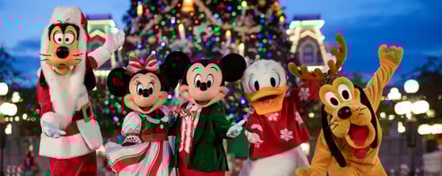 1217ZO_0390SD_R3_xak-1-5x2