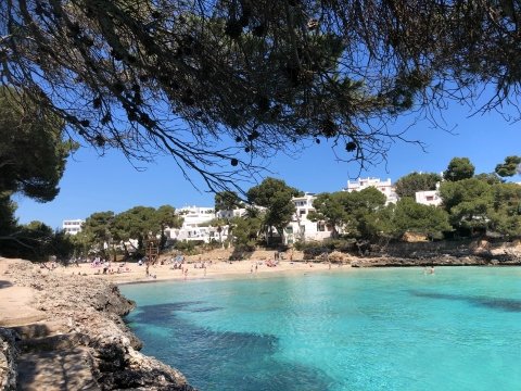 Beach in Cala dOr