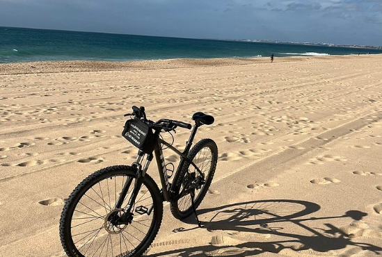 Screenshot 2026-04-28 101029