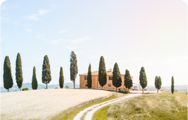 A scenic road leading to a farmhouse nestled among beautiful cypress trees.