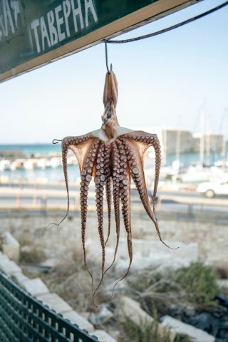 Fresh seafood in Greece